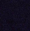 Moquette_Bleu_fonce