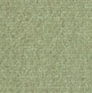 Moquette_vert_clair