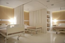 Photo 30.05.2023, 12 20 10