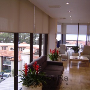 Rideaux Hotels Enrouleurs Bureaux Réunion        